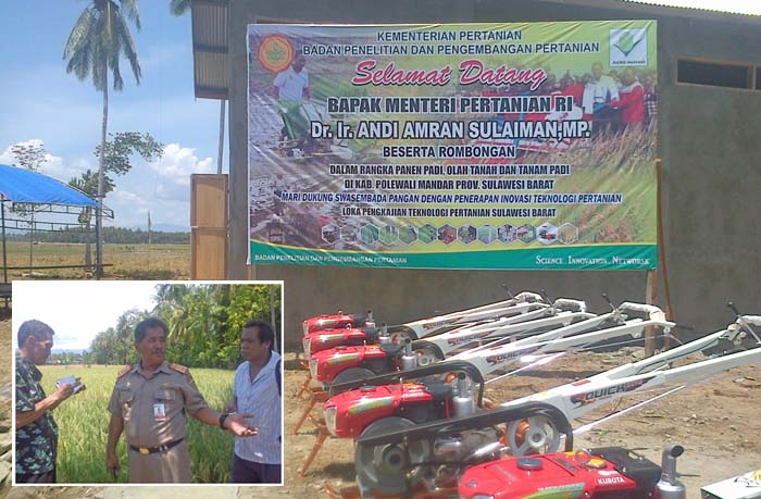 Mentan Pagi Ini Panen Padi dan Serahkan Alsintan untuk Petani Polewali Mandar